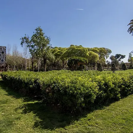 דירה Super 3br Apartment, Spacious And Bright *